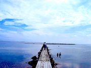 Yasuさんのトドワラの投稿写真1