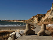 こたぴさんの屏風ケ浦の投稿写真3