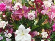 せいさんの道の駅 おおつの里花倶楽部の投稿写真3