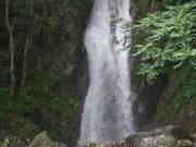 sklfhさんの楊梅の滝の投稿写真1
