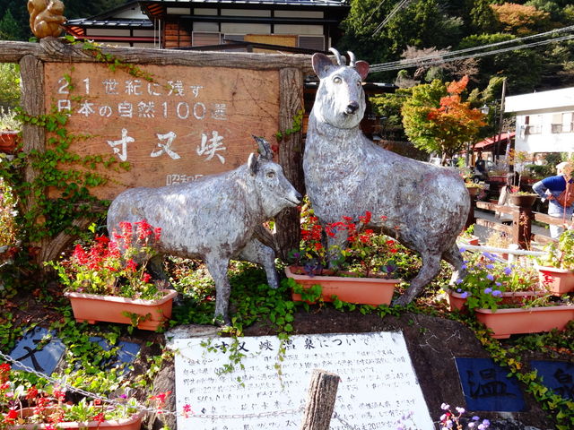 寸又峡温泉_寸又峡温泉