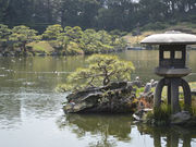 ぺんちさんの清澄庭園の投稿写真1