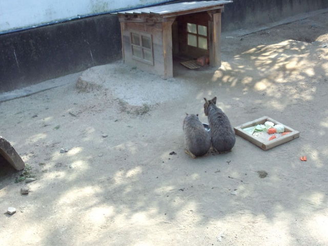 和歌山城公園動物園