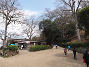 sklfhさんのうちわ工房竹の投稿写真1