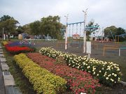 アクセルゼンカイさんの南幌町三重湖公園キャンプ場の投稿写真1