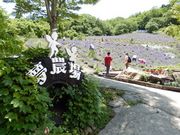 w-masaさんの夢農場ラベンダー園の投稿写真1