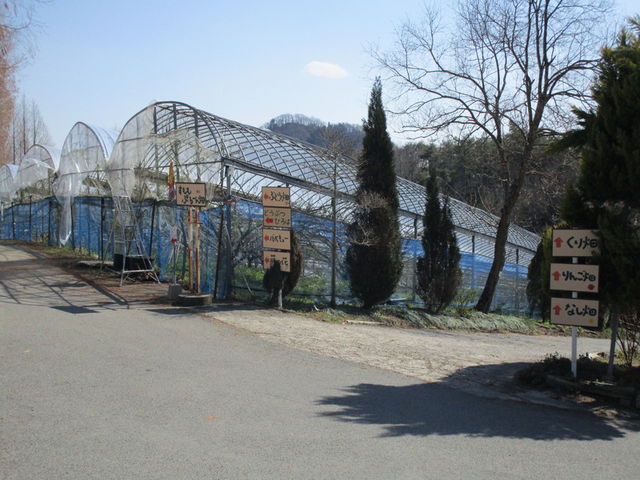 看板とビニールハウス_フルーツの森ひらた