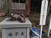 シトラさんの六所神社の投稿写真1