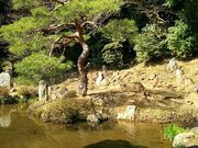 ゆみぶさんの大善寺庭園の投稿写真1