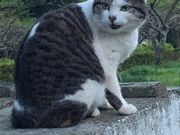 ゅかさんの袖ケ浦公園の投稿写真1