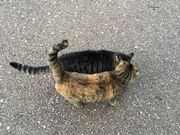 ゅかさんの袖ケ浦公園の投稿写真4