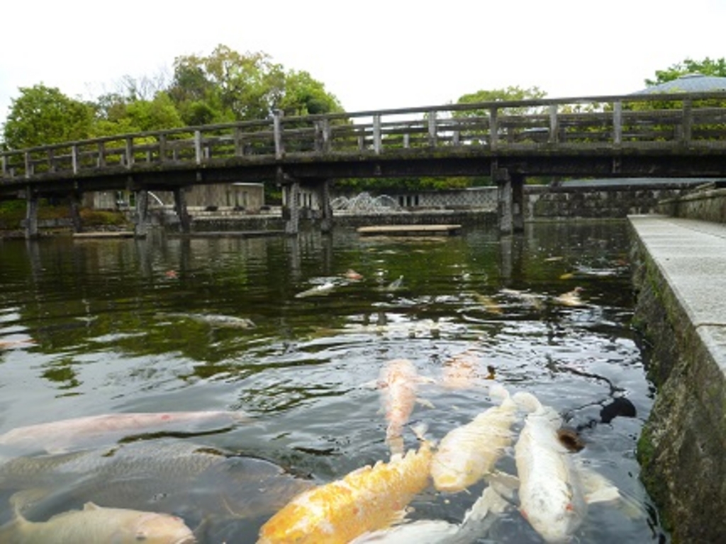 白鳥庭園