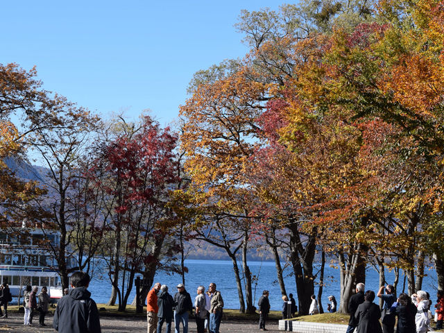 十和田湖の紅葉