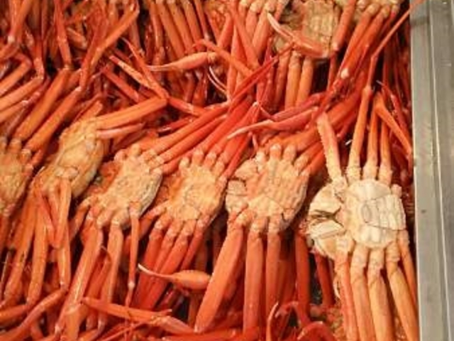 美味しいカニ三昧!!_かにや横丁