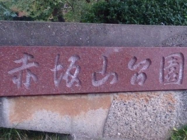 赤坂山公園_赤坂山公園