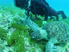 まいくさんの屋久島ガイドクラブへの投稿写真1