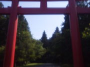 ワンワンさんの砥鹿神社奥宮の投稿写真1