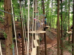 まいちゃんさんのフォレストアドベンチャー・秩父への投稿写真1