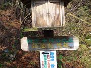 こたぴさんの四万十川源流点の投稿写真1