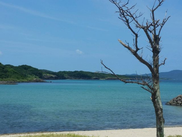 きれい。_大崎海水浴場