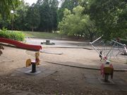 りくそらさんの久喜菖蒲公園の投稿写真1