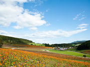 藍郷さんの太陽の丘えんがる公園「虹のひろば」の投稿写真2