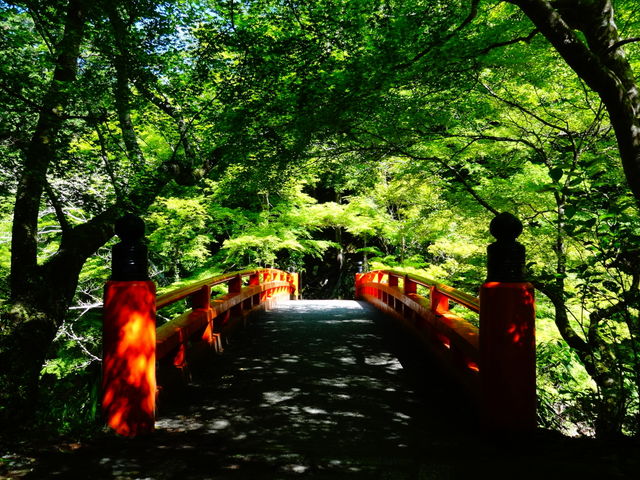 西明寺_西明寺