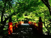 しどーさんの西明寺の投稿写真2