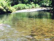 みーちゃんさんの鶴仙渓遊歩道の投稿写真1