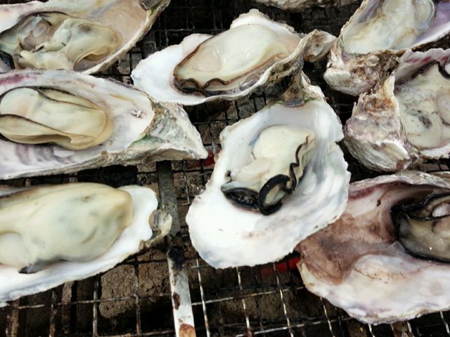 軍手や炭バサミなどの道具やお醤油、ポン酢もくれちゃいます。_海の駅しおじ
