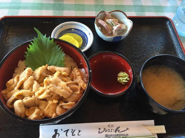 モリモリの生うに丼!絶品です!_味処しゃこたん