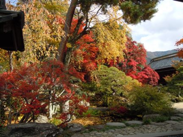 田中家の庭園_豪商の館 田中本家博物館