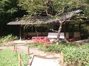 けろねこさんの滄浪泉園の投稿写真1
