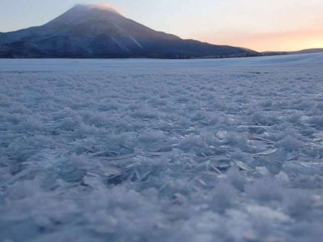 フロストフラワー_阿寒湖温泉