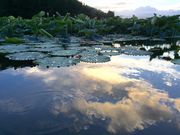 ウータンさんの海上連親水公園の投稿写真2