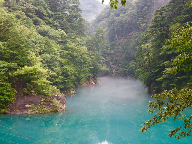生憎の曇り雨と思いきや、逆に霧が幻想的な雰囲気を醸し出しました。_寸又峡