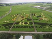 はなさんの行田タワー・古代蓮会館の投稿写真1