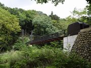 いるくさんの巨岩吊橋の投稿写真1