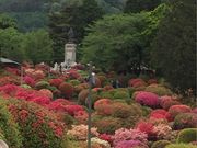 みなちゃんさんの鶴峯公園の投稿写真1