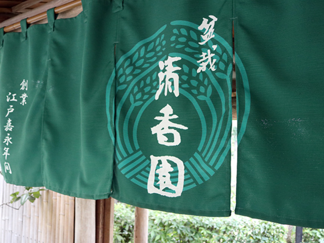 盆栽園の一つ、清香園(せいこうえん)_大宮盆栽村
