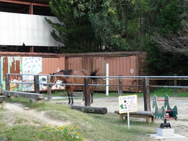 馬がいました_安富牧場 ファミーユ