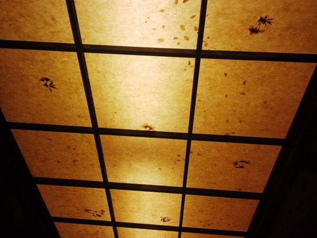 天井の照明も和紙_お宿たなか