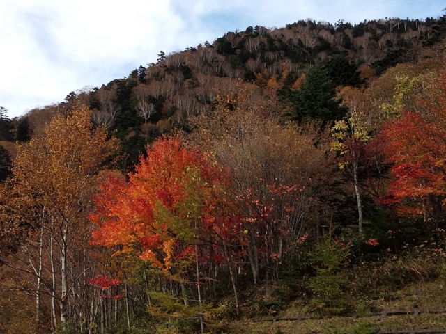 紅葉が綺麗でした。_金精峠