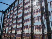 Hiroさんのししゃものすだれ干しの投稿写真1