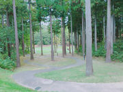 Maricoさんの金津創作の森の投稿写真11