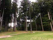 Maricoさんの金津創作の森の投稿写真6