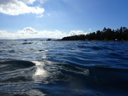 Maricoさんの鉢ヶ崎海水浴場の投稿写真2