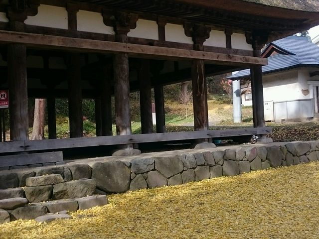 黄色_新宮熊野神社
