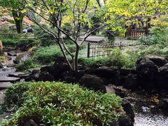 横浜公園の写真1