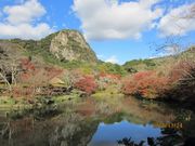 ライオンさんの御船山の投稿写真1